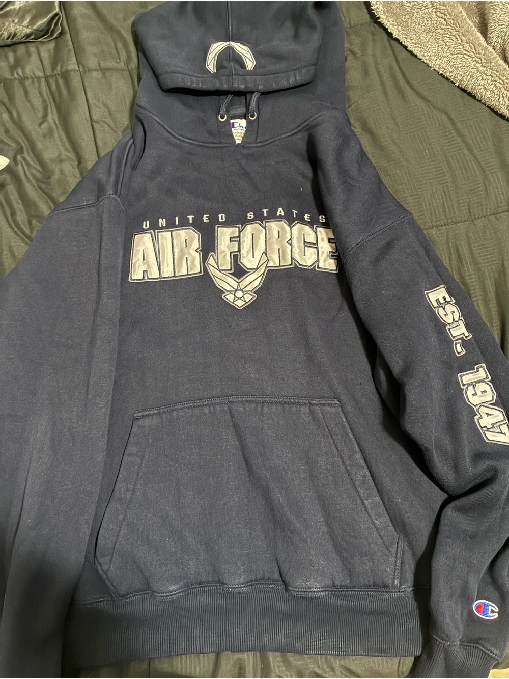 Champion United States Air Force Hooded Sweatshirt